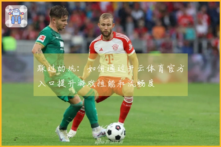 踩过的坑：如何通过开云体育官方入口提升游戏性能和流畅度