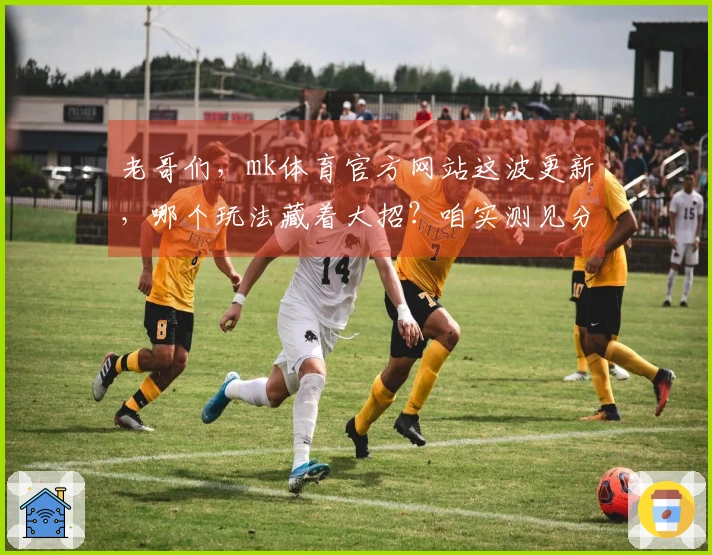 老哥们，mk体育官方网站这波更新，哪个玩法藏着大招？咱实测见分晓！